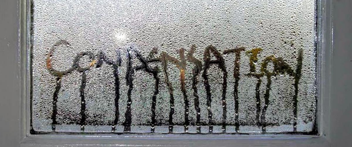 Why Do My New Windows Have Condensation on the Outside?